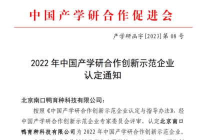 娱乐场