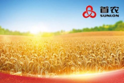 娱乐场