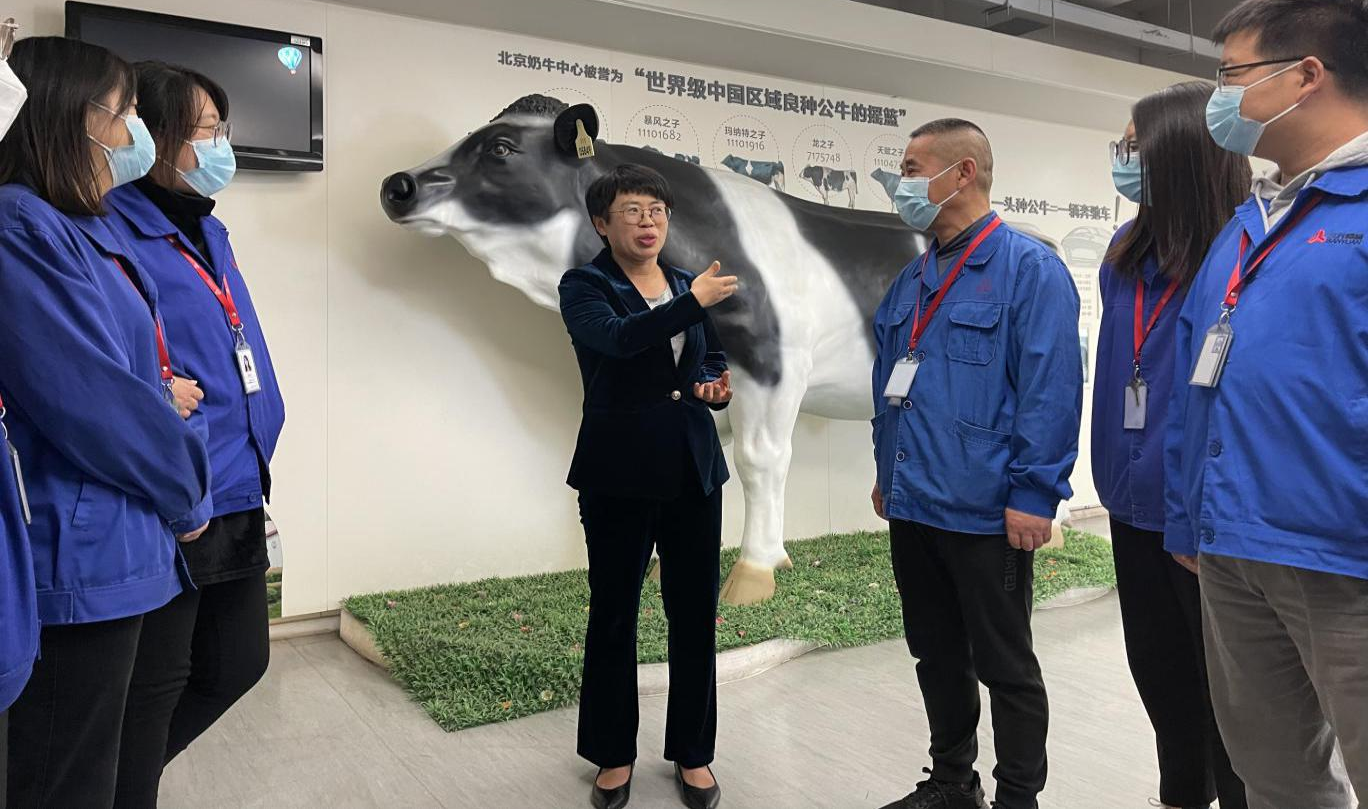 娱乐场